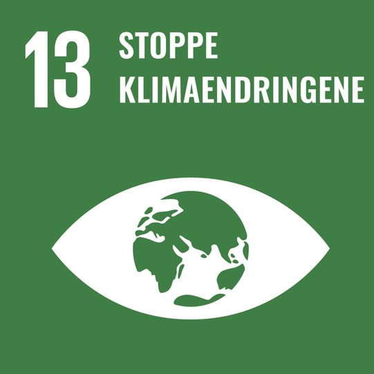 Bilde av Punkt nummer 13 i FNs bærekraftmål: stoppe klimaendringene.